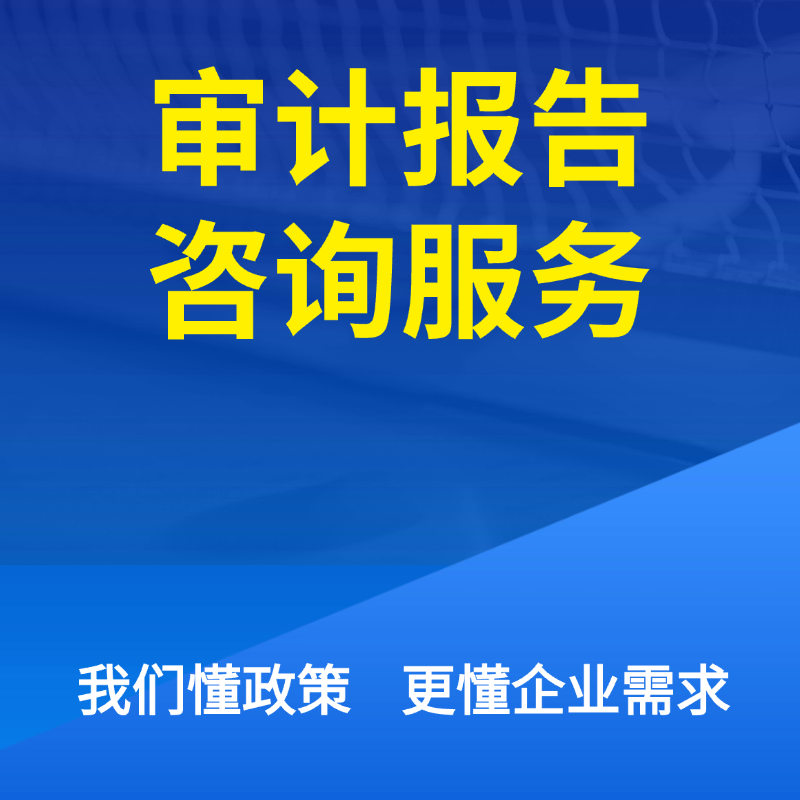 审计报告咨询服务