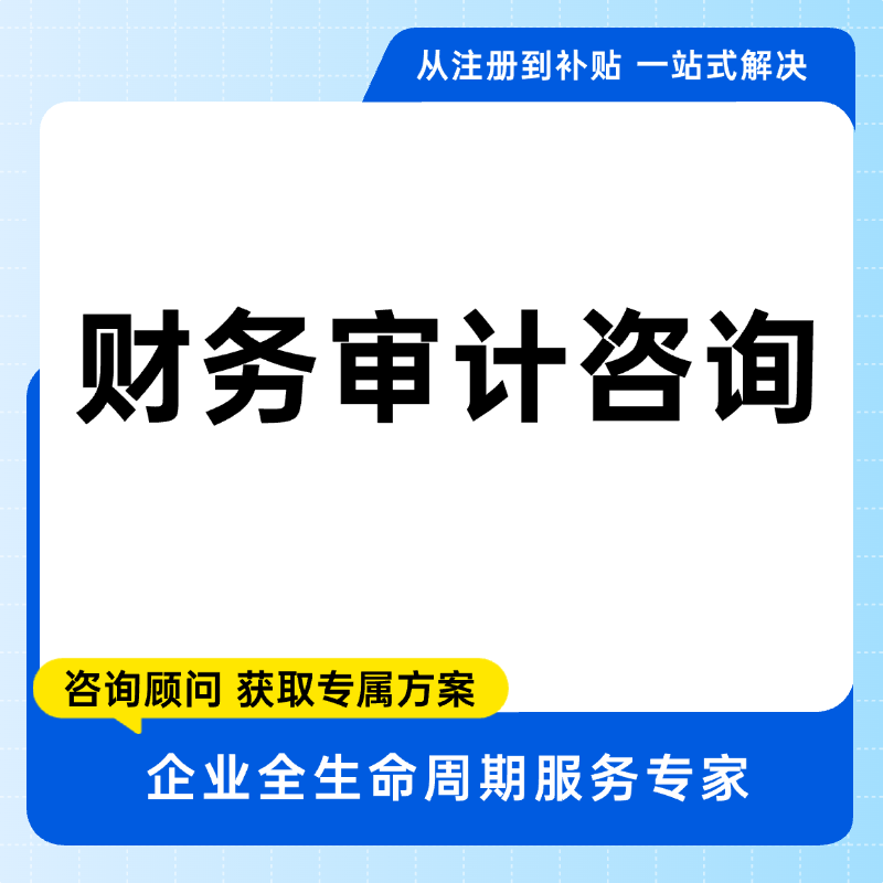 年度财务审计咨询