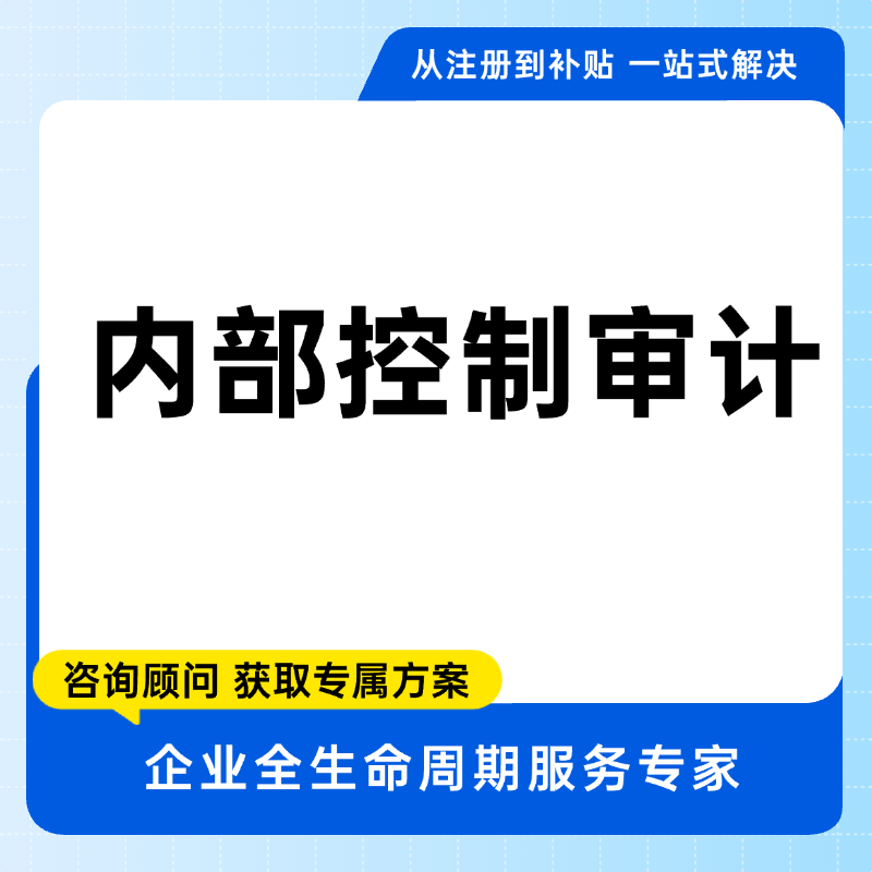  内部控制审计咨询