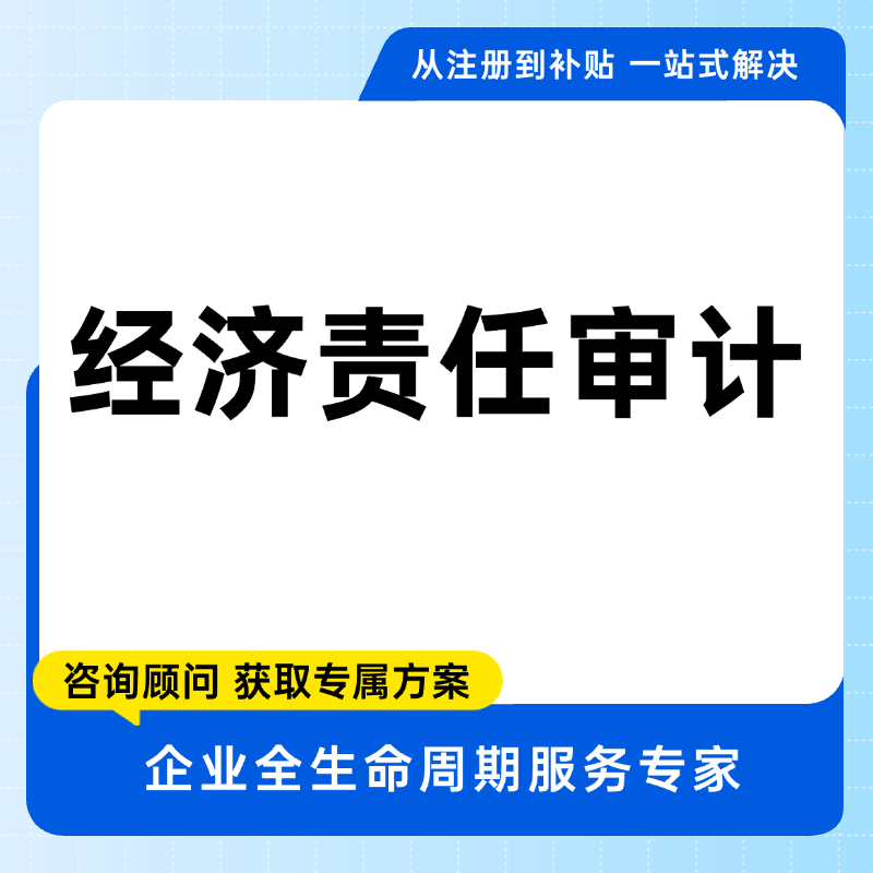  经济责任审计咨询