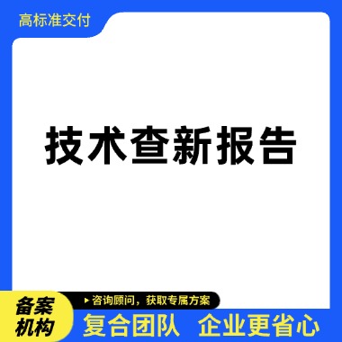 技术查新报告